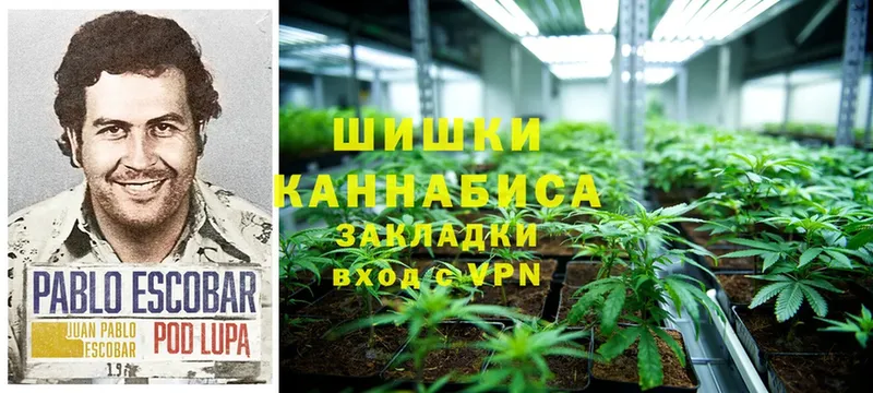 Конопля SATIVA & INDICA  ссылка на мегу ссылки  Апшеронск 